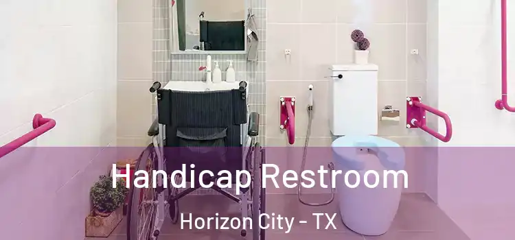 Handicap Restroom Horizon City - TX